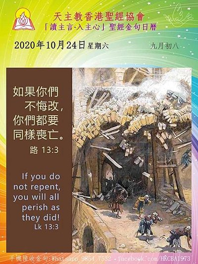 122208211_1659835197509976_8458619482132905781_n