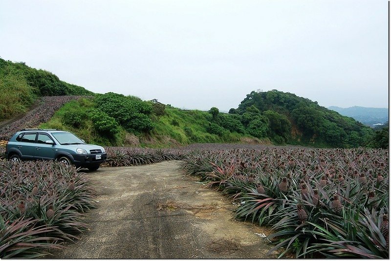 野山停車處