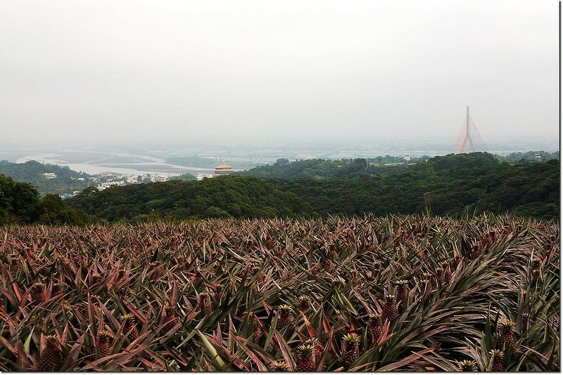 野山登山口展望 3