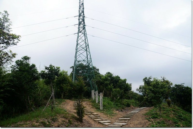 火燒寮山登山步道輸電塔前岔路