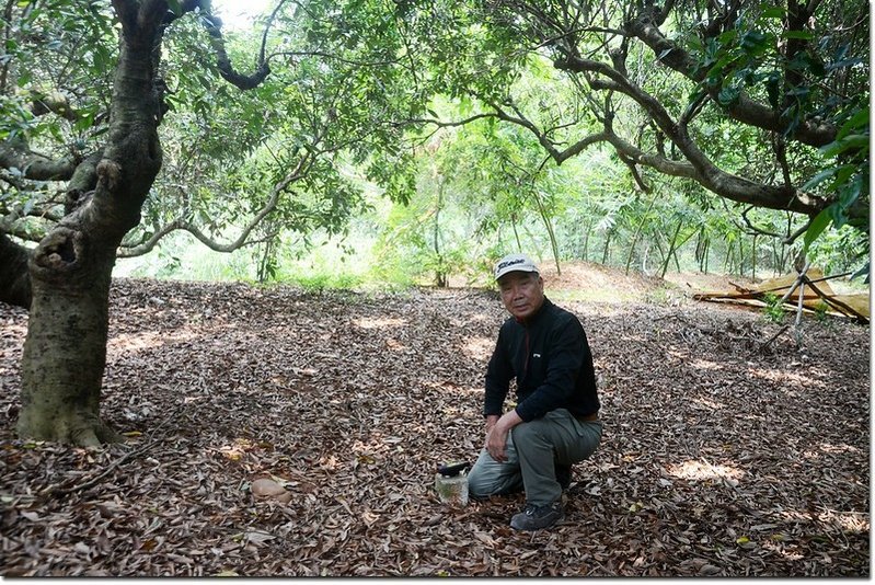 林厝坑土地調查局圖根點 1