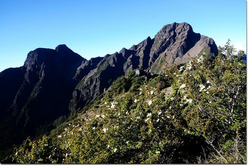 玉山北峰山腰南眺玉山主、東 15