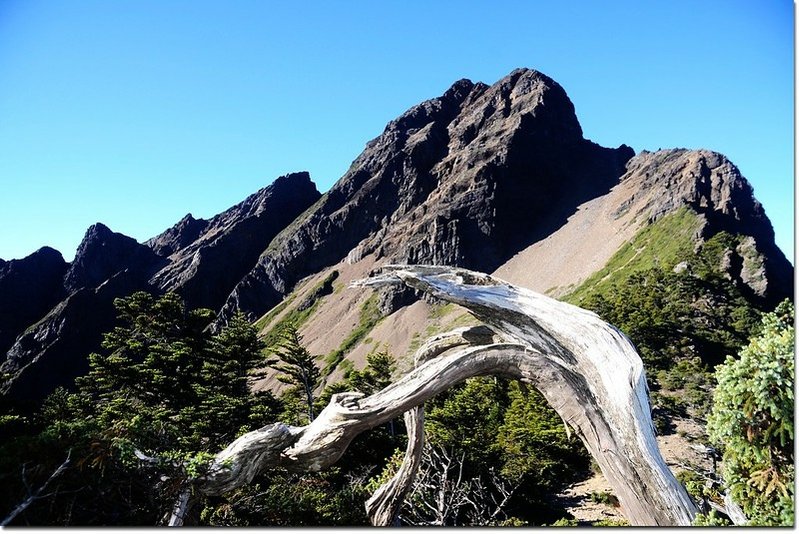 玉山主、北鞍部南望玉山主峰 3