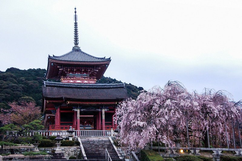 京都清水寺 (3)