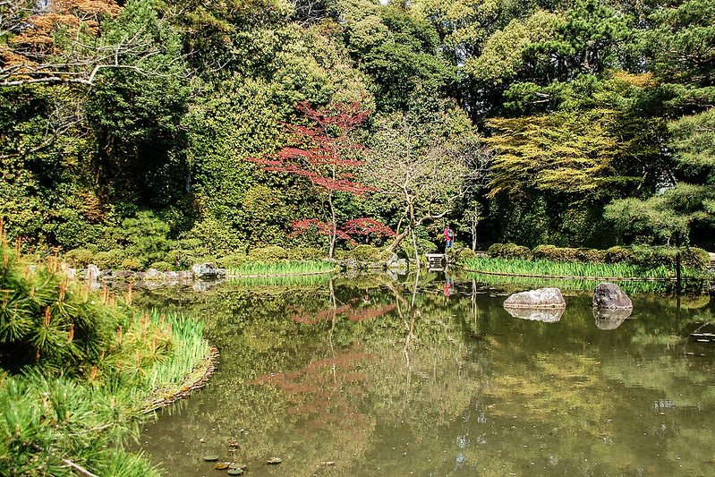 平安神宮賞櫻 (16)