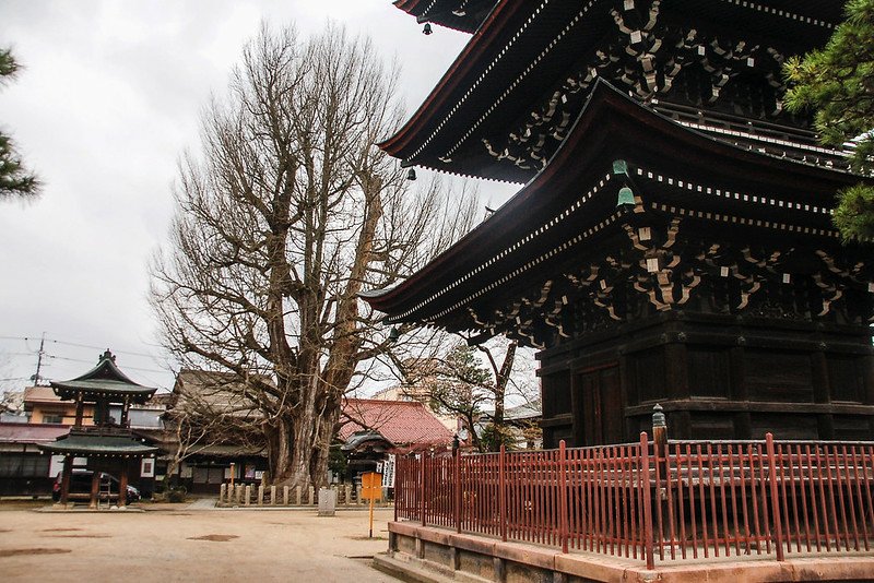 飛驒國分寺 9