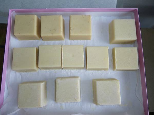 LemonYogurtSoap-experiment-21