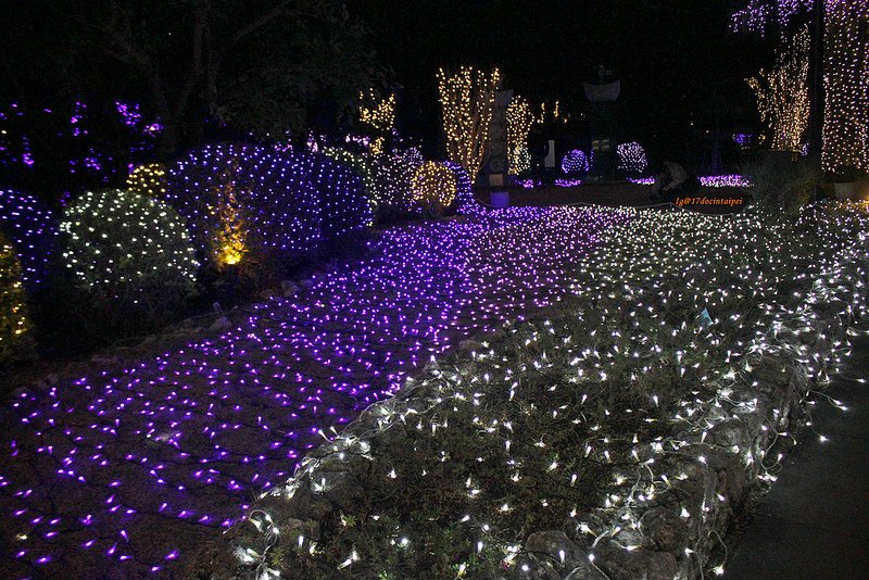 travel-japan-湘南の宝石- (17)