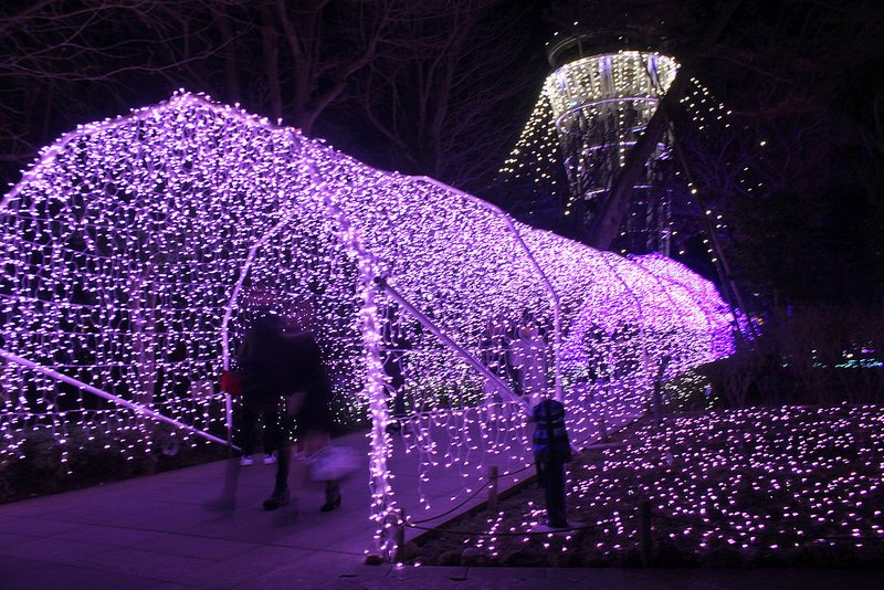 travel-japan-湘南の宝石- (32)