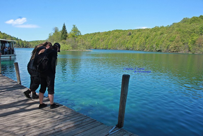 croatia-Plitvice LakesNational Park -克羅地亞-16湖國家公園-17docintaipei (119)