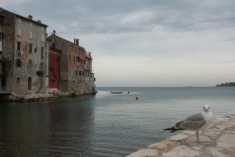 羅維尼Rovinj-Croatia-travel-克羅埃西亞-17度C隨拍 (124)