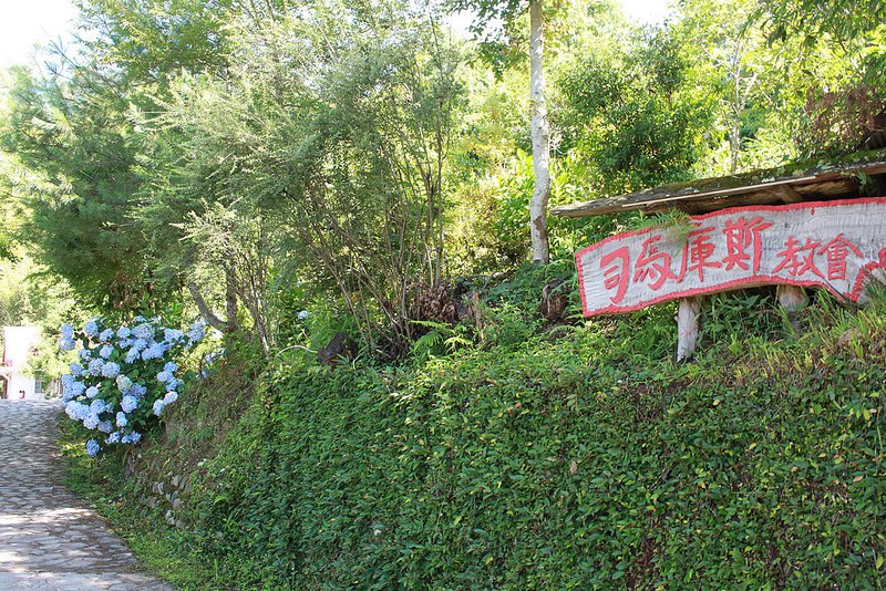 環島-新竹上帝部落-司馬庫斯隨拍 (62)