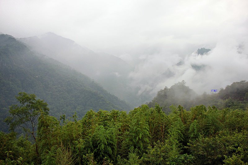 環島。前網上地部落道路-竹60-司馬庫斯產業道路 (51)
