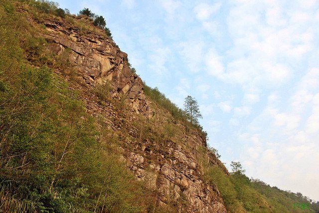 17度C2013環島-新中橫公路-玉山-夫妻樹