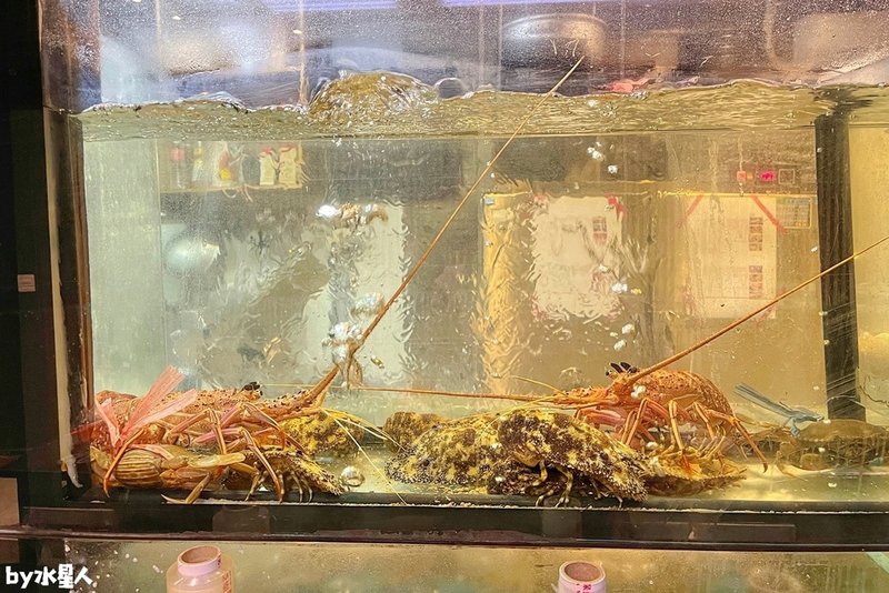 水森水產：台中海鮮鍋物日式料理，現點現撈活體海鮮，活體製作生