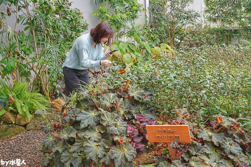 吃茶三千：台中茶飲界精品，40年老宅改造絕美茶館，店內語音導