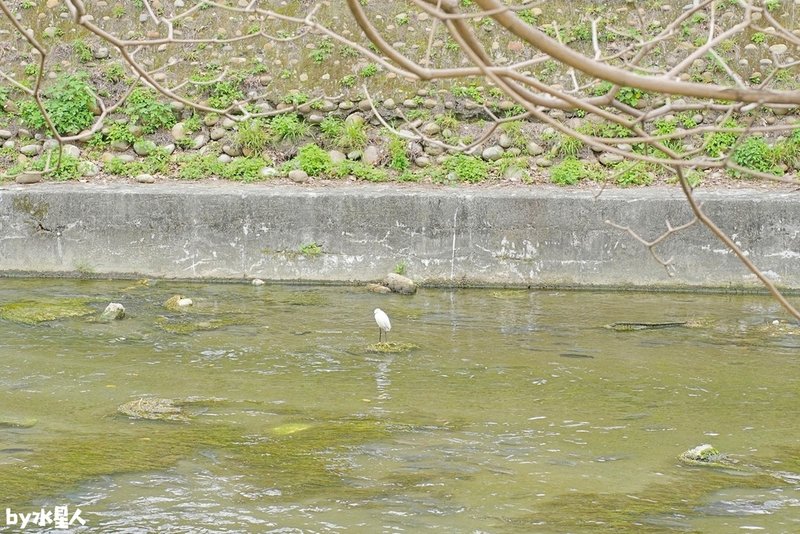 親水河畔：台中七期餐廳推薦，超道地韓式人蔘雞湯，絕美水岸景觀