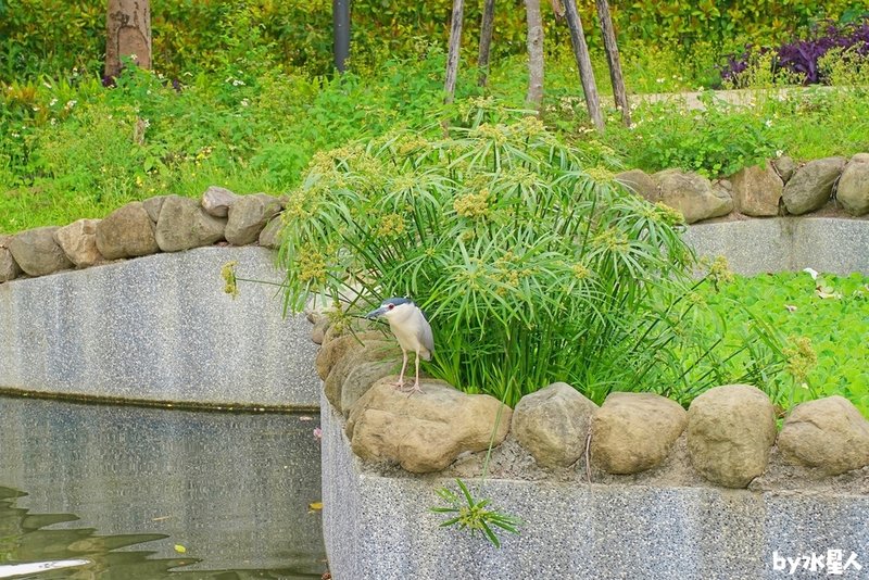 親水河畔：台中七期餐廳推薦，超道地韓式人蔘雞湯，絕美水岸景觀