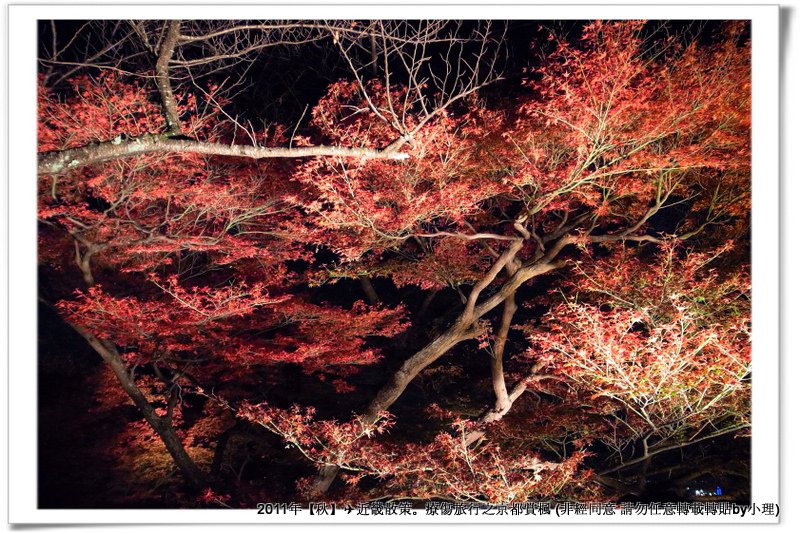 清水寺014