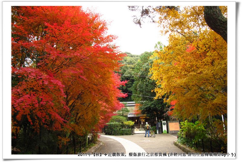 宇治018