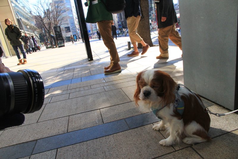 120127_164.JPG