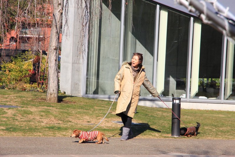 120127_189.JPG