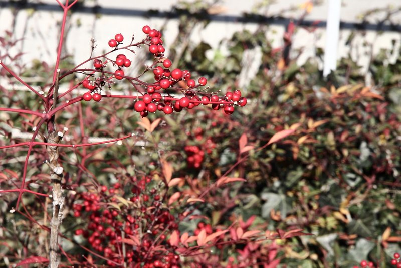 120127_211.JPG