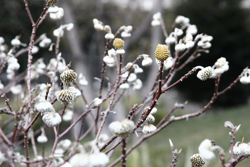 120127_212.JPG