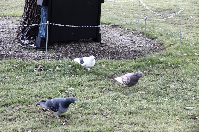 120127_222.JPG