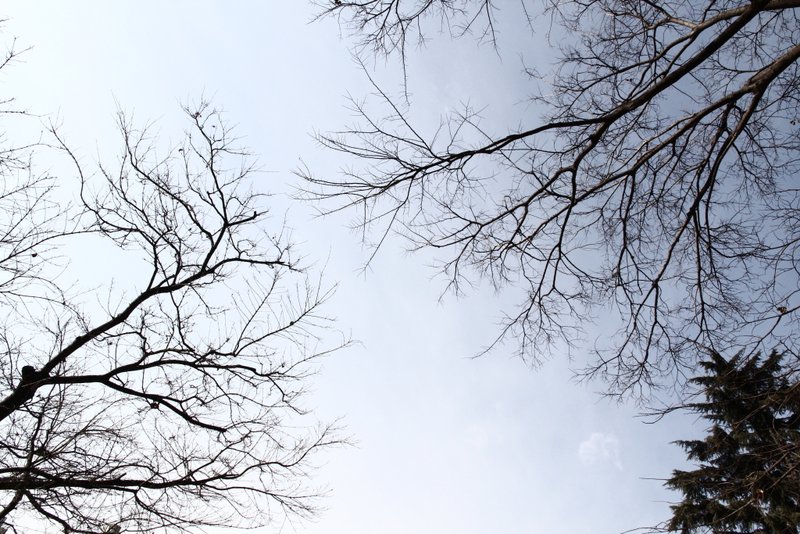 120127_267.JPG