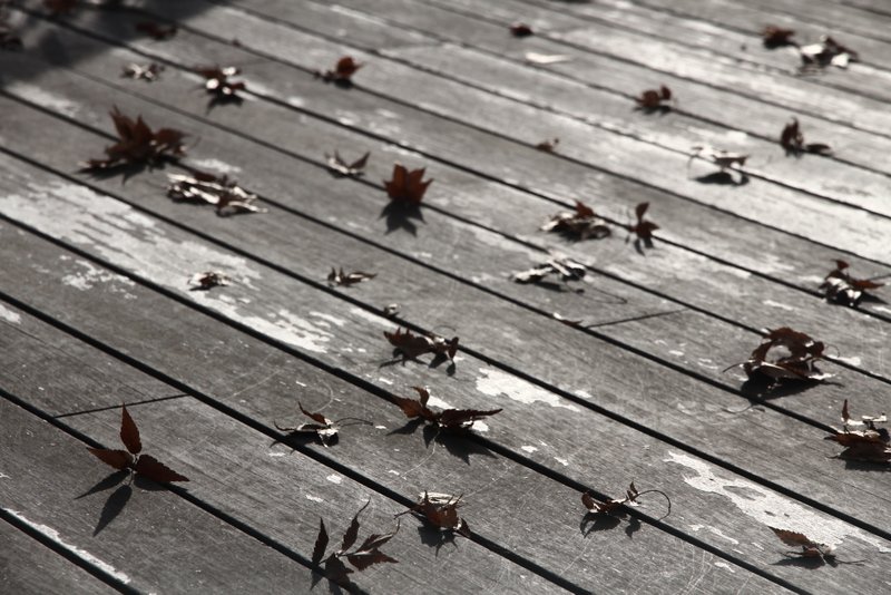 120127_340.JPG