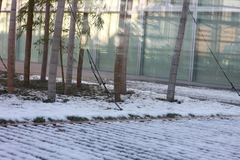 120127_424.JPG