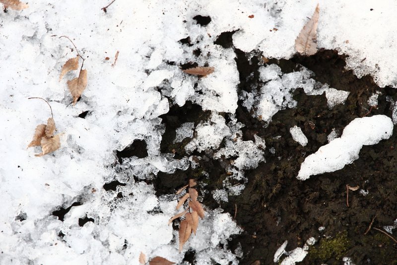 120127_481.JPG