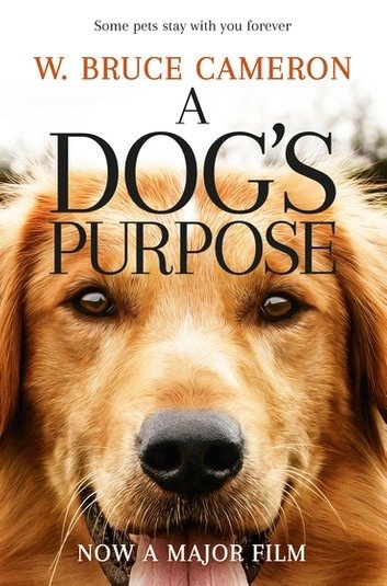 a-dog-s-purpose-2