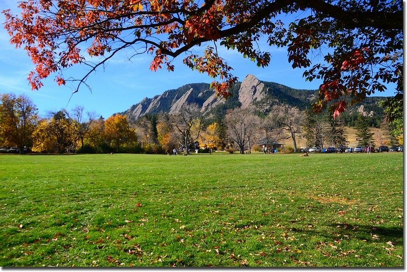 2017 Maple in Fall, Boulder, Colorado  (44)