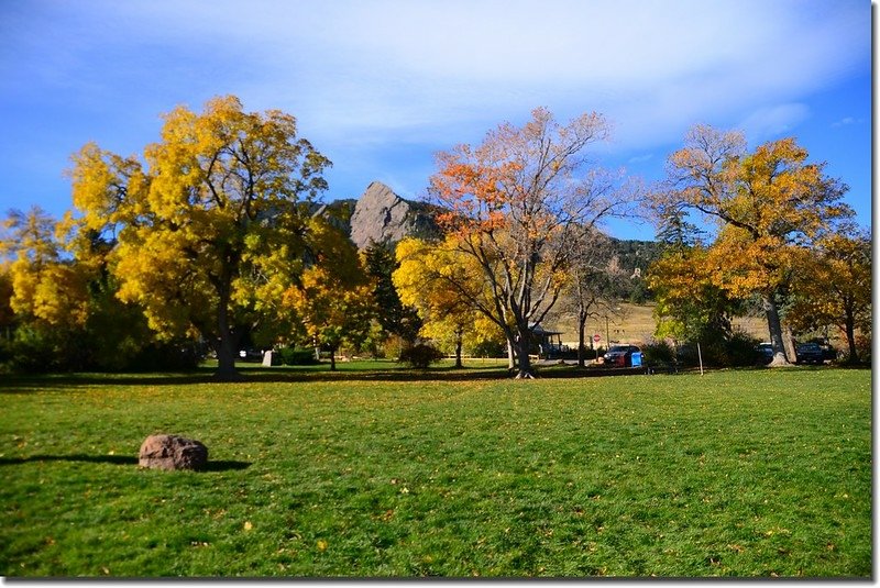 2017 Maple in Fall, Boulder, Colorado  (30)