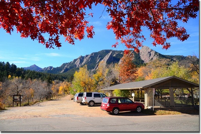 2017 Maple in Fall, Boulder, Colorado  (46)