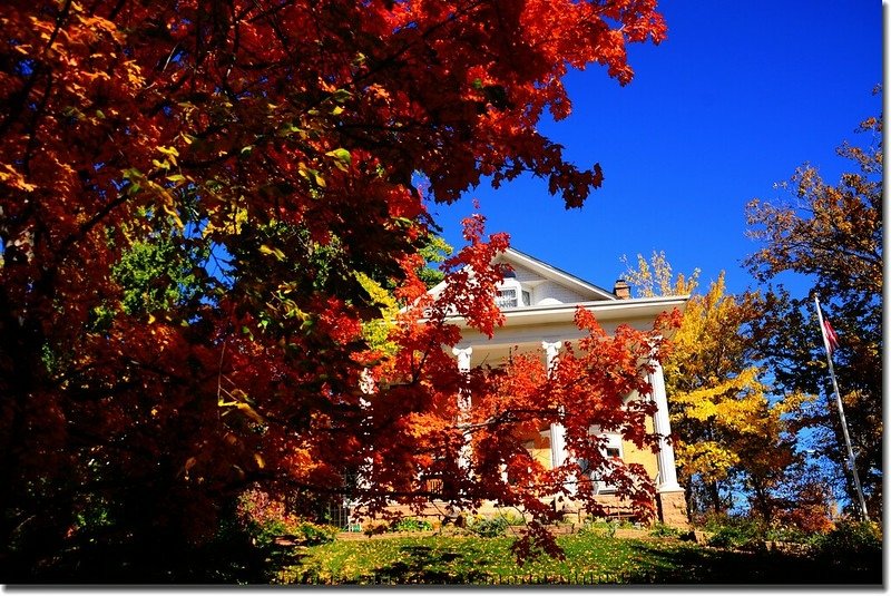 2017 Maple in Fall, Boulder, Colorado  (33)