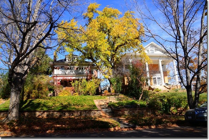 2017 Maple in Fall, Boulder, Colorado  (52)