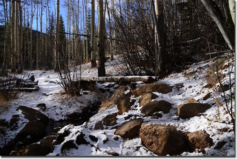 Crossing log bridge at the creek 1 (2)