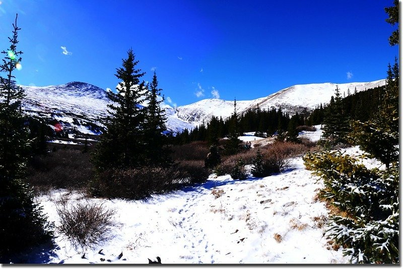 Looking South at the mountains from West Chicago Creek valley (4)