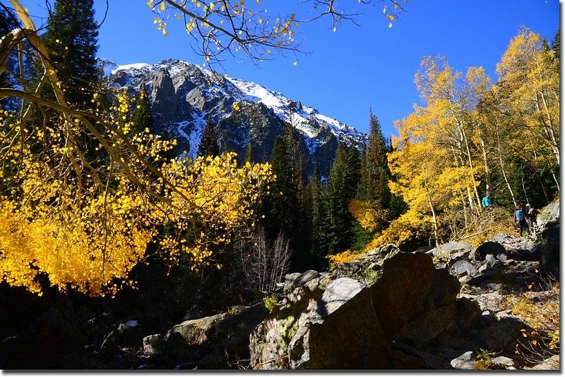 The trail heads rocky slope through stands of beautiful aspen trees (2)