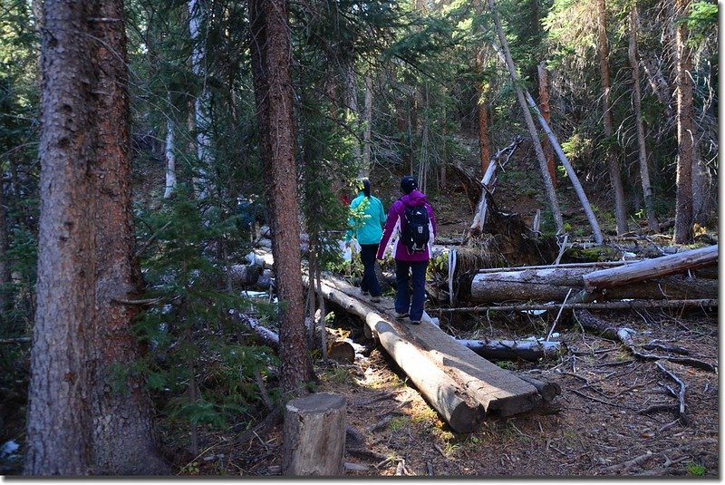 Crossing log bridge at South Willow Creek 1