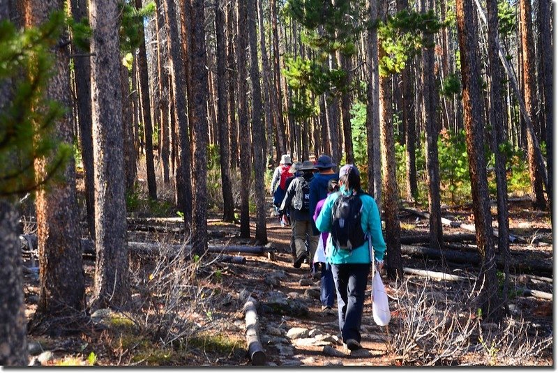 South Willowbrook Trail, Silverthorne (7)