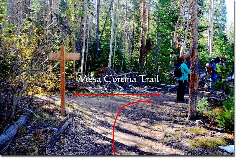 Willowbrook Trail &amp; Mesa Cortina Trail fork