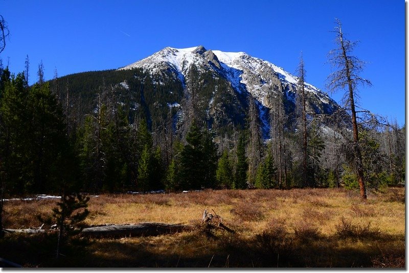 View of Buffalo Mountain up close from the meadow along Gore Range Trail 1