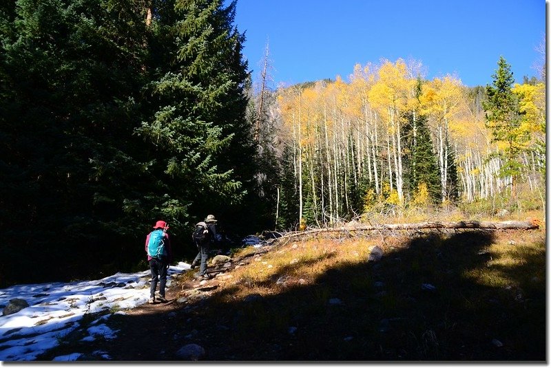 Gore Range Trail, Silverthorne (6)