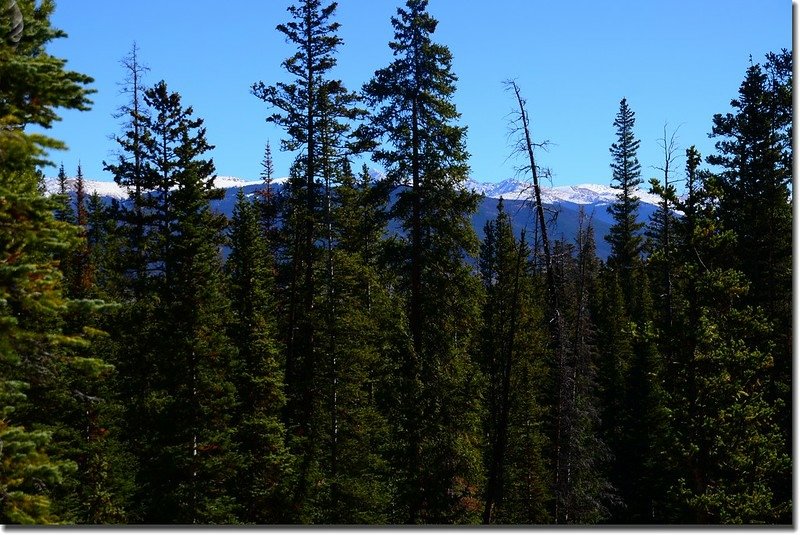 Looking east onto Grays, Torreys from South Willow Fall