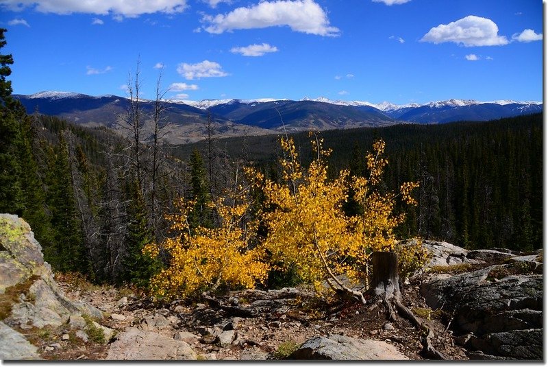 Looking east onto Grays, Torreys, Grizzly Peak et al.from the top of South Willow Fall 5