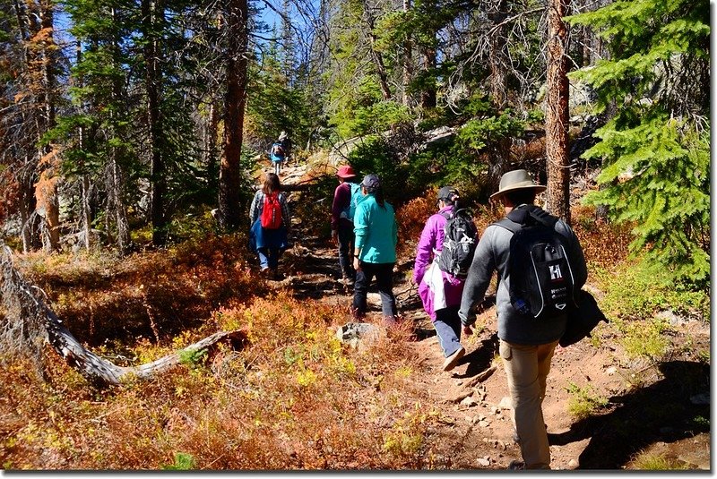 Gore Range Trail, Silverthorne (10)